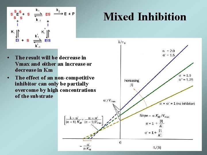 Mixed Inhibition • The result will be decrease in Vmax and either an increase