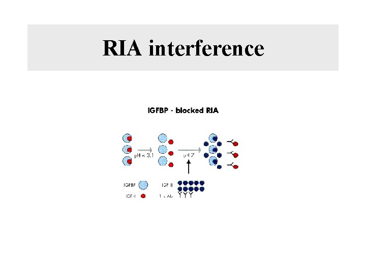Principles of immunodetection by Martin Loignon Ph D
