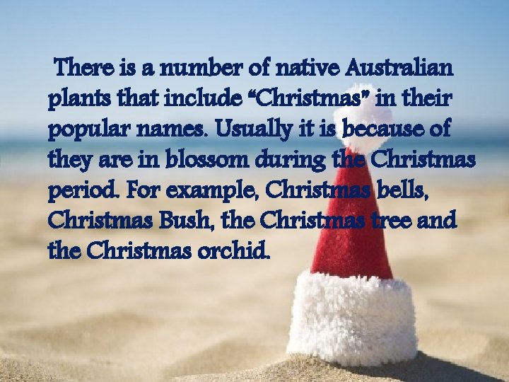 There is a number of native Australian plants that include “Christmas” in their popular