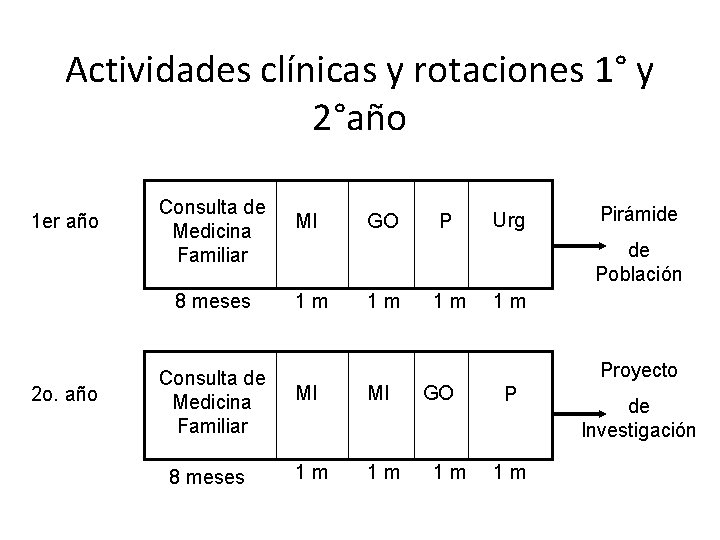 Actividades clínicas y rotaciones 1° y 2°año 1 er año 2 o. año Consulta