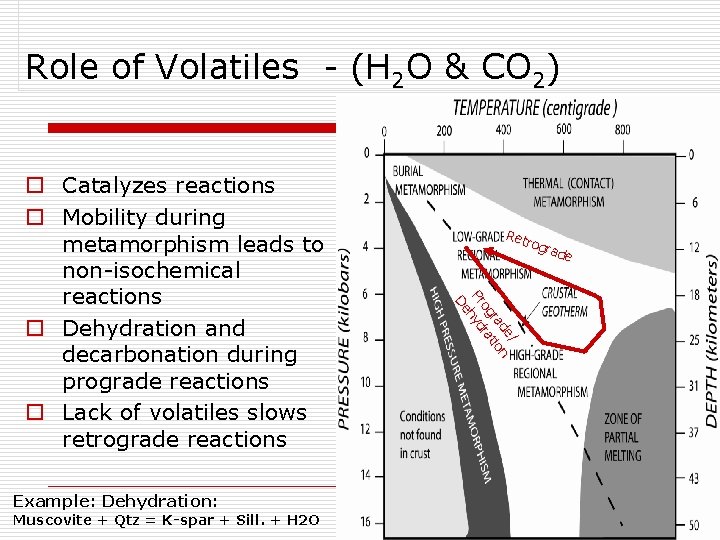 Role of Volatiles - (H 2 O & CO 2) Example: Dehydration: Muscovite +