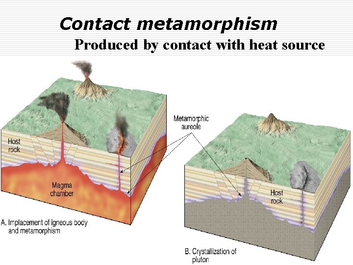 Contact metamorphism Produced by contact with heat source 