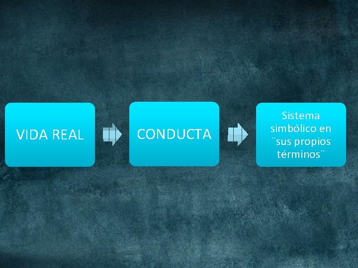 VIDA REAL CONDUCTA Sistema simbólico en ¨sus propios términos¨ 