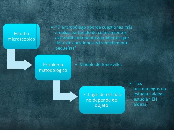 Estudio microscopico • “El antropólogo aborda cuestiones más amplias partiendo de conocimientos extraordinariamente abundantes