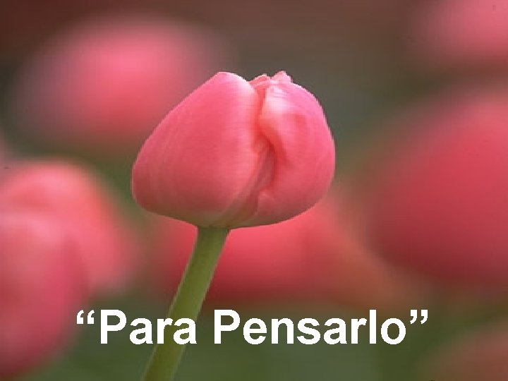 “Para Pensarlo” 