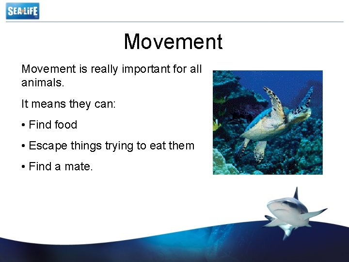 Movement is really important for all animals. It means they can: • Find food