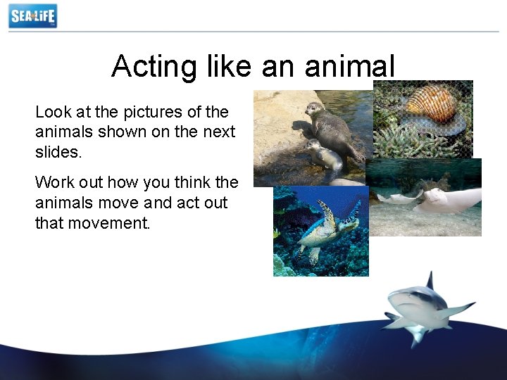 Acting like an animal Look at the pictures of the animals shown on the