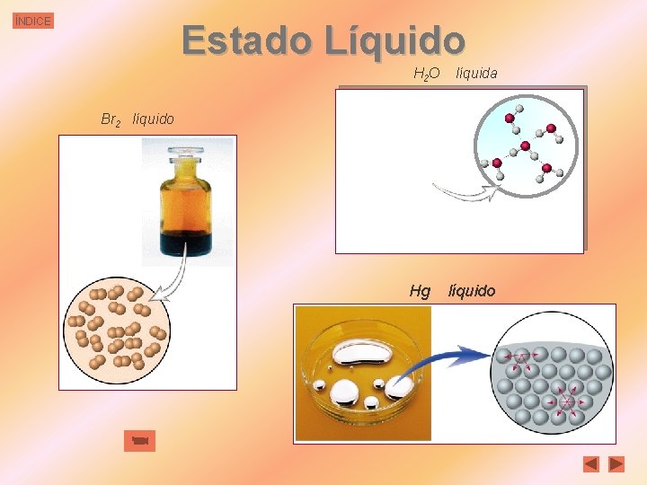 ÍNDICE Estado Líquido H 2 O líquida Br 2 líquido Hg líquido 