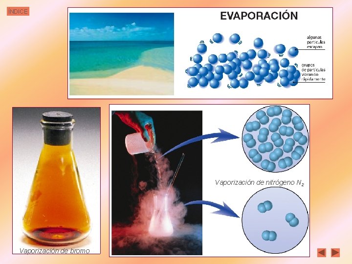 ÍNDICE Vaporización de nitrógeno N 2 Vaporización de bromo 