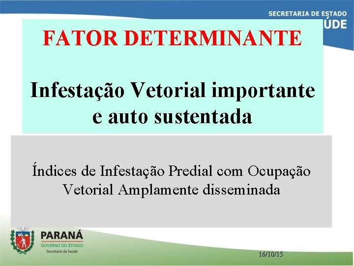 FATOR DETERMINANTE Infestação Vetorial importante e auto sustentada Índices de Infestação Predial com Ocupação