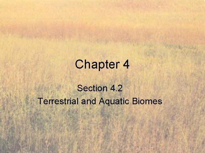 Chapter 4 Section 4. 2 Terrestrial and Aquatic Biomes 