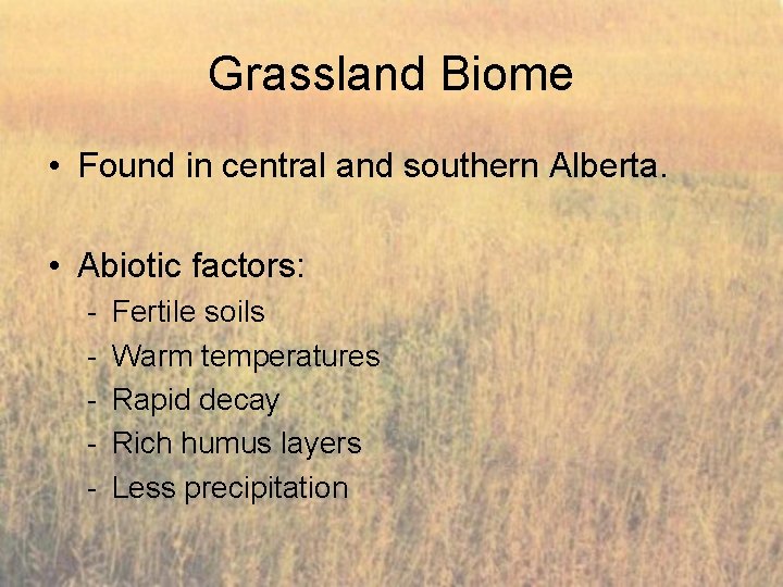 Grassland Biome • Found in central and southern Alberta. • Abiotic factors: - Fertile