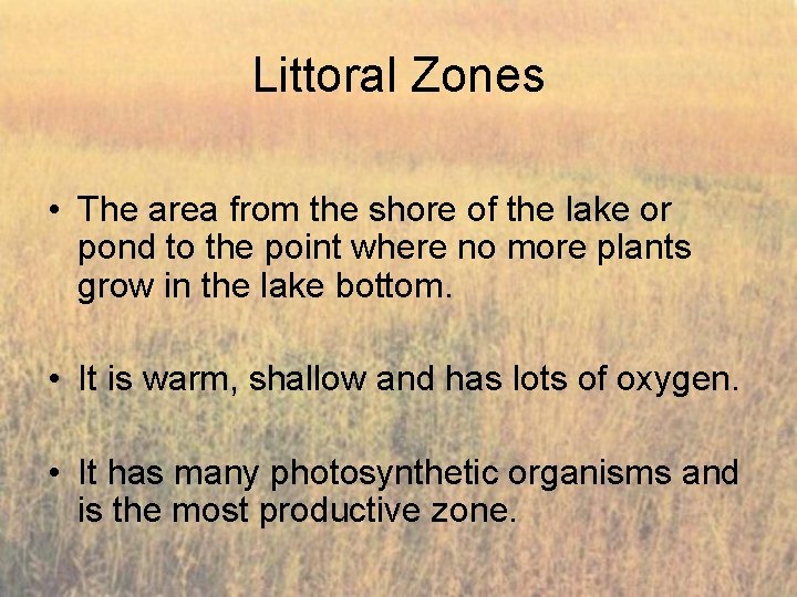 Littoral Zones • The area from the shore of the lake or pond to