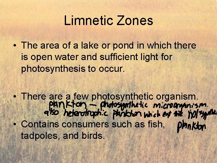 Limnetic Zones • The area of a lake or pond in which there is