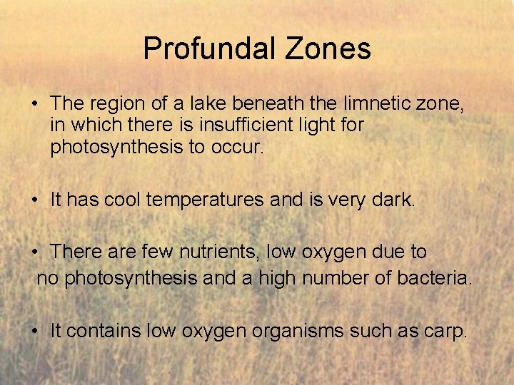 Profundal Zones • The region of a lake beneath the limnetic zone, in which
