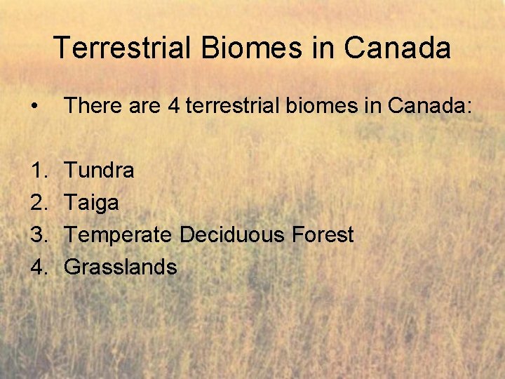 Terrestrial Biomes in Canada • There are 4 terrestrial biomes in Canada: 1. 2.