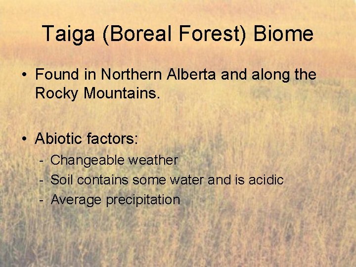 Taiga (Boreal Forest) Biome • Found in Northern Alberta and along the Rocky Mountains.