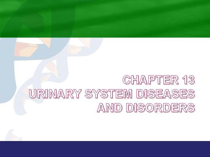 CHAPTER 13 URINARY SYSTEM DISEASES AND DISORDERS 