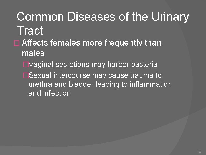 Common Diseases of the Urinary Tract � Affects females more frequently than males �Vaginal