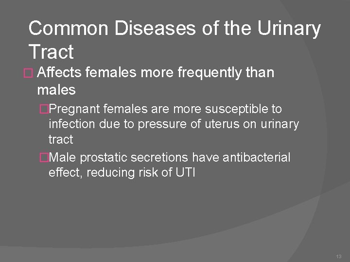 Common Diseases of the Urinary Tract � Affects females more frequently than males �Pregnant