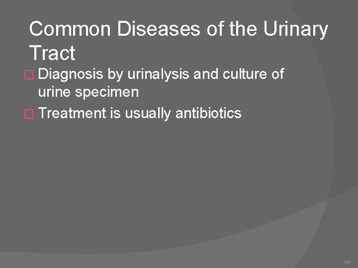 Common Diseases of the Urinary Tract � Diagnosis by urinalysis and culture of urine