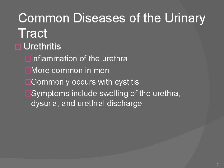 Common Diseases of the Urinary Tract � Urethritis �Inflammation of the urethra �More common