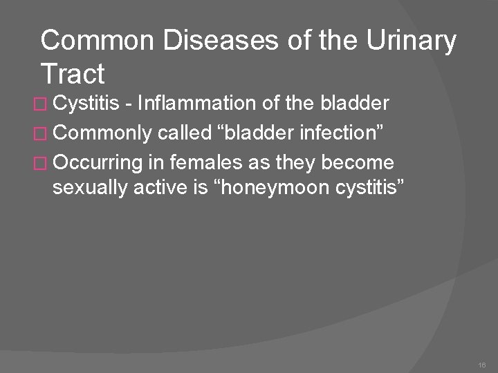 Common Diseases of the Urinary Tract � Cystitis - Inflammation of the bladder �