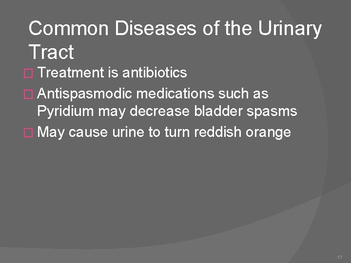 Common Diseases of the Urinary Tract � Treatment is antibiotics � Antispasmodic medications such