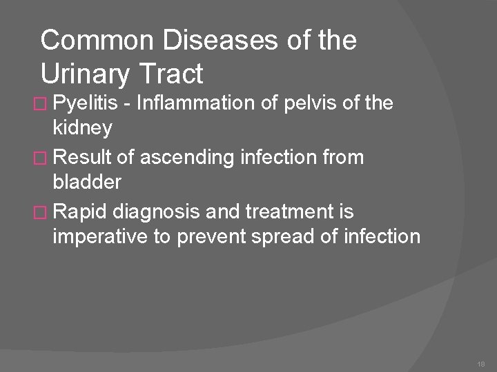 Common Diseases of the Urinary Tract � Pyelitis - Inflammation of pelvis of the
