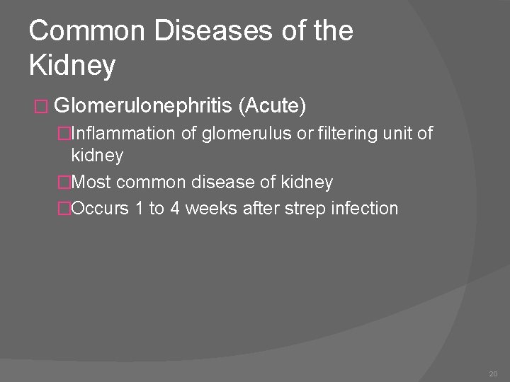 Common Diseases of the Kidney � Glomerulonephritis (Acute) �Inflammation of glomerulus or filtering unit