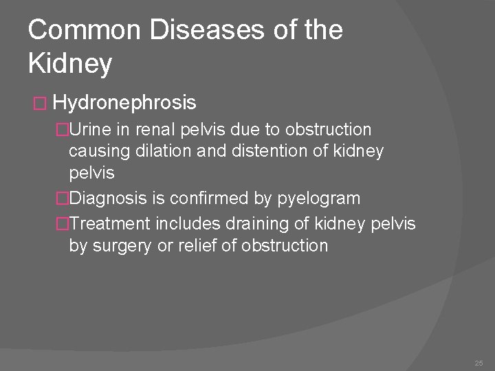Common Diseases of the Kidney � Hydronephrosis �Urine in renal pelvis due to obstruction