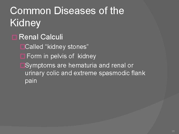 Common Diseases of the Kidney � Renal Calculi �Called “kidney stones” � Form in