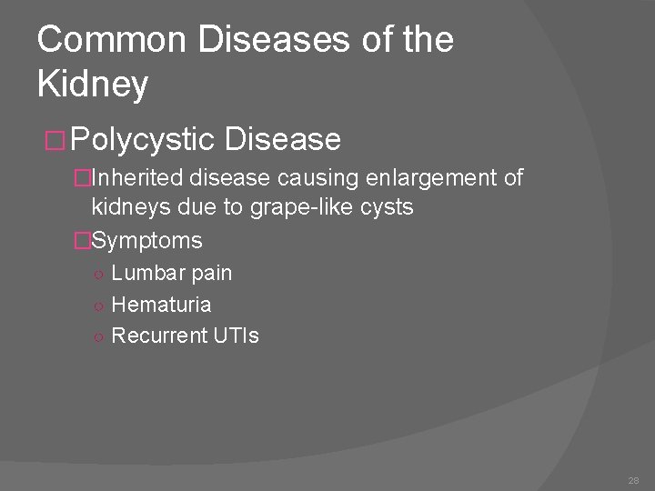 Common Diseases of the Kidney �Polycystic Disease �Inherited disease causing enlargement of kidneys due