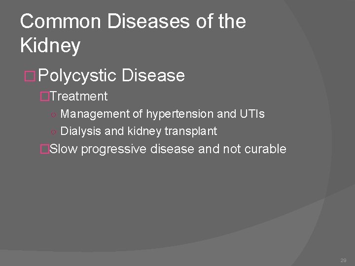 Common Diseases of the Kidney �Polycystic Disease �Treatment ○ Management of hypertension and UTIs