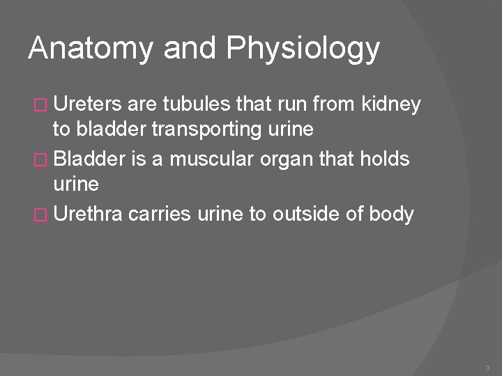 Anatomy and Physiology � Ureters are tubules that run from kidney to bladder transporting