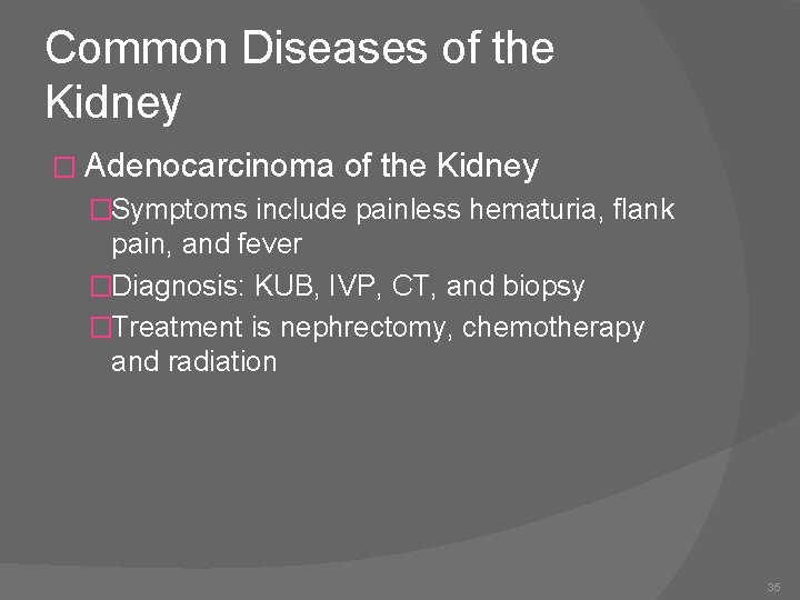Common Diseases of the Kidney � Adenocarcinoma of the Kidney �Symptoms include painless hematuria,