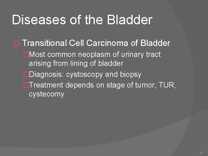 Diseases of the Bladder � Transitional Cell Carcinoma of Bladder �Most common neoplasm of