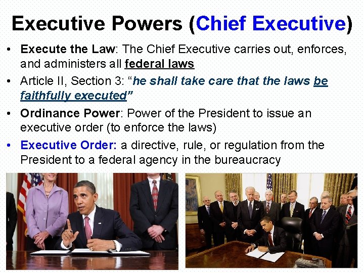 Executive Powers (Chief Executive) • Execute the Law: The Chief Executive carries out, enforces,