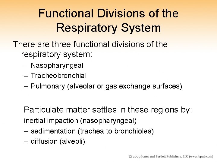 Functional Divisions of the Respiratory System There are three functional divisions of the respiratory