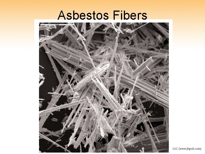 Asbestos Fibers 
