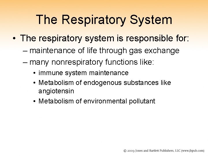 The Respiratory System • The respiratory system is responsible for: – maintenance of life