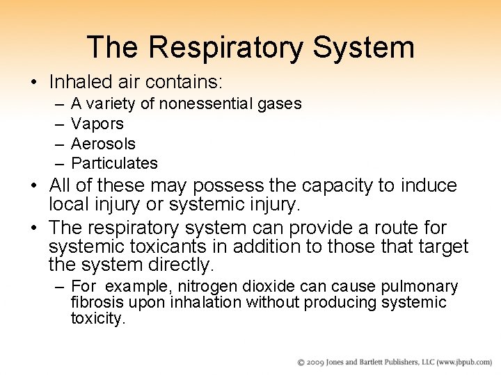 The Respiratory System • Inhaled air contains: – – A variety of nonessential gases