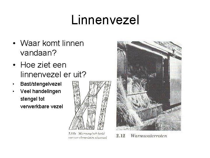 Linnenvezel • Waar komt linnen vandaan? • Hoe ziet een linnenvezel er uit? •