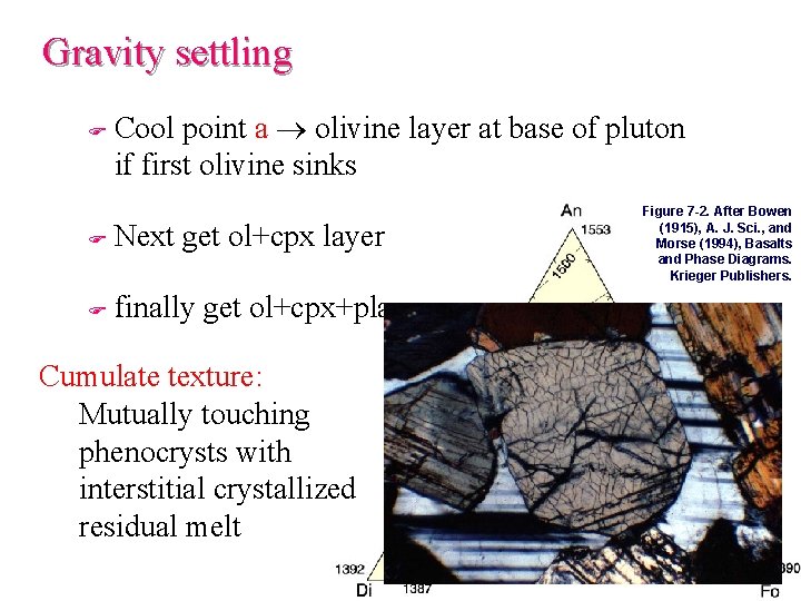 Gravity settling F Cool point a olivine layer at base of pluton if first