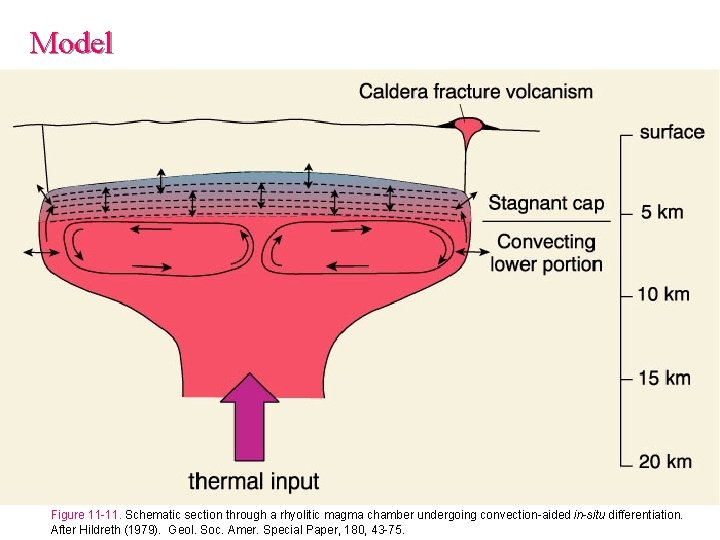 Model Figure 11 -11. Schematic section through a rhyolitic magma chamber undergoing convection-aided in-situ Model Figure 11 -11. Schematic section through a rhyolitic magma chamber undergoing convection-aided in-situ