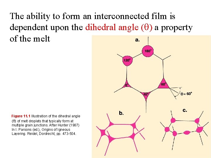 The ability to form an interconnected film is dependent upon the dihedral angle (