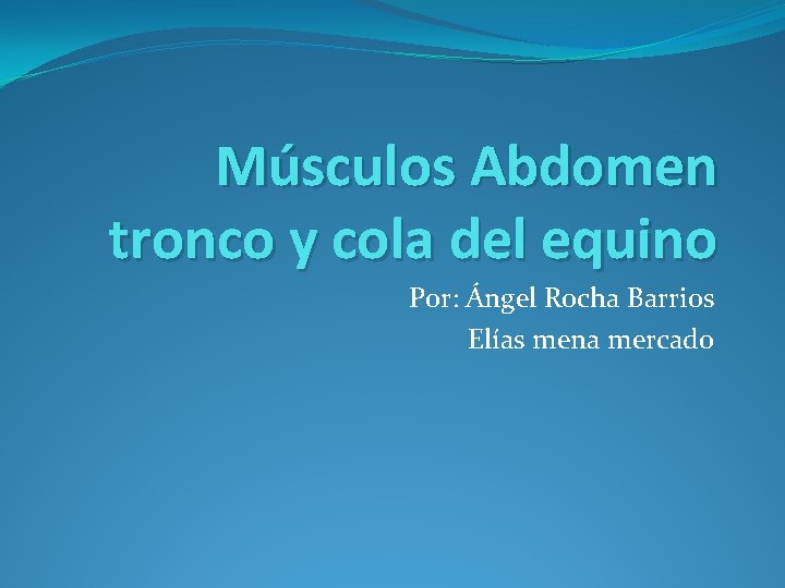Músculos Abdomen tronco y cola del equino Por: Ángel Rocha Barrios Elías mena mercado