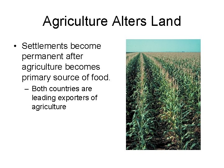 Agriculture Alters Land • Settlements become permanent after agriculture becomes primary source of food.