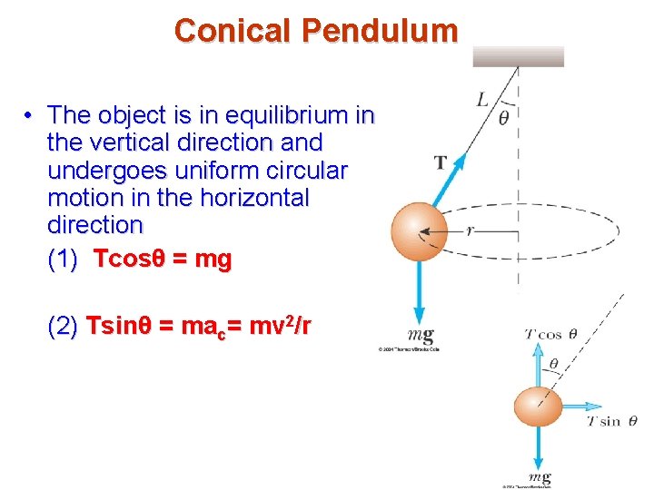 Conical Pendulum • The object is in equilibrium in the vertical direction and undergoes