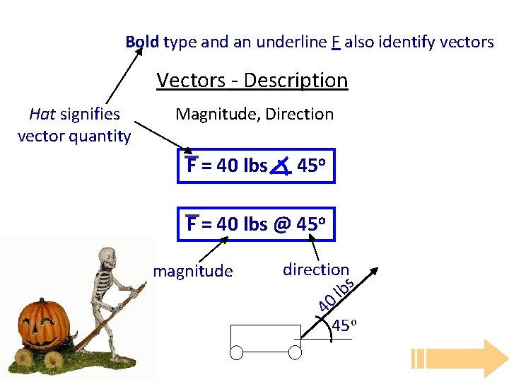 Bold type and an underline F also identify vectors Vectors - Description Hat signifies